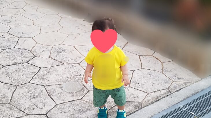 【１歳児】お靴デビュー👟❤️　てとてと歩く息子くん👦🚶‍♂️💕