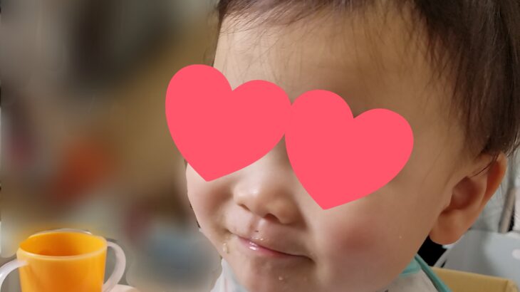 【宇宙一の子育て】１歳１１ヶ月　保育園の面談日　◯◯で泣きもぐずりもなく先生と遊ぶ子❗