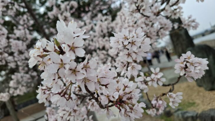 【解決！】膝、腰の付け根、肩、口の痛み、しびれ、鼻水とくしゃみ、不眠、宇宙次元の○○でスッキリ❗